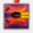 Search for hawaii christmas tree decorations Travel