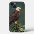 Search for regal electronics Bird