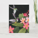 Search for hummingbird cards Birds