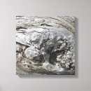 Search for driftwood canvas prints Beach