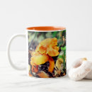 Search for wild mushroom mugs Nature