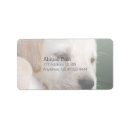 Search for one return address labels Create your own