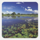 Search for waterways stickers Nature