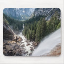 Search for vernal mouse mats Nature