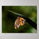 Search for question mark posters Nature