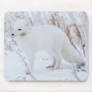 Search for arctic fox mouse mats Canada
