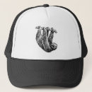 Search for rainforest hats Sloth
