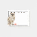 Search for ragdoll mom Funny