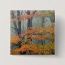 Search for trees in fog badges Autumn