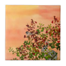 Search for rabbit tiles Foliage