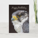 Search for bird of prey cards Wild