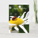 Search for aunty photography Nature