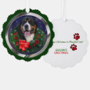 Search for swiss christmas cards Greater swiss mountain dog