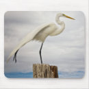 Search for wild one mouse mats Usa