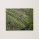 Search for rice puzzles Asia