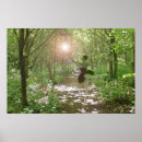 Search for nymphs posters Forest