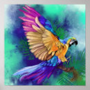 Search for parrot posters Exotic