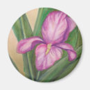 Search for fuschia magnets Pink