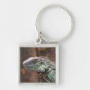Search for tropical lizard key rings Iguana
