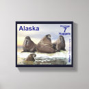 Search for walrus art Wildlife
