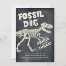 Search for fossil birthday Excavation