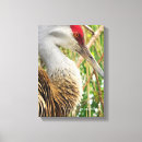 Search for crane canvas prints White
