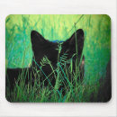 Search for stalking mouse mats Wild