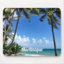Search for coconut palm electronics Paradise