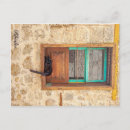 Search for cats sleeping postcards Feline