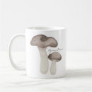 Search for agaricus Fungi