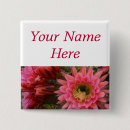Search for cactus badges Photography