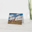 Search for yellowstone cards Travel