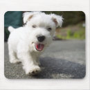 Search for weeks mouse mats Dog