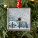 Search for robin christmas tree decorations Nature