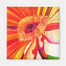 Search for orange gerbera magnets Floral
