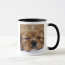 Search for king charles cavalier mugs Nature