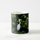 Search for white heron mugs Wildlife