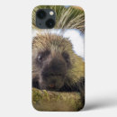 Search for np ipad cases Mammal