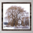 Search for matted posters Winter