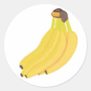 Search for banana yellow stickers Vegan