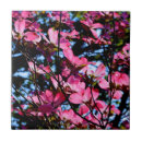 Search for magnolia flower tiles Pink flowers