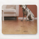 Search for flooring mouse mats Vertical