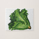 Search for lettuce puzzles Vegetables