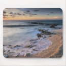 Search for crashed mouse mats Island