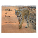 Search for wildlife calendars Tiger