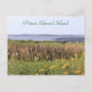 Search for island wedding postcards Flowers