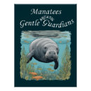 Search for manatee posters Nature