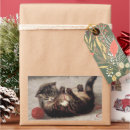 Search for cat with yarn stickers Cats