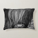 Search for scottish highland cow decor Coo
