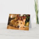 Search for corgi christmas cards Puppy